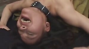 japanese,animal-fuck