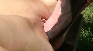 animal-fuck,horse-sex